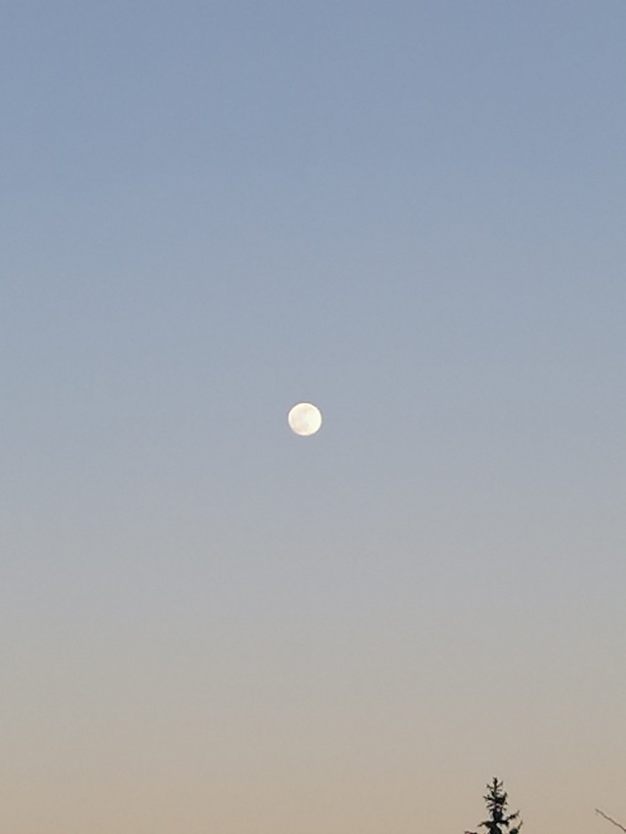 Una delle meraviglie che l'uomo non potrà mai distruggere!