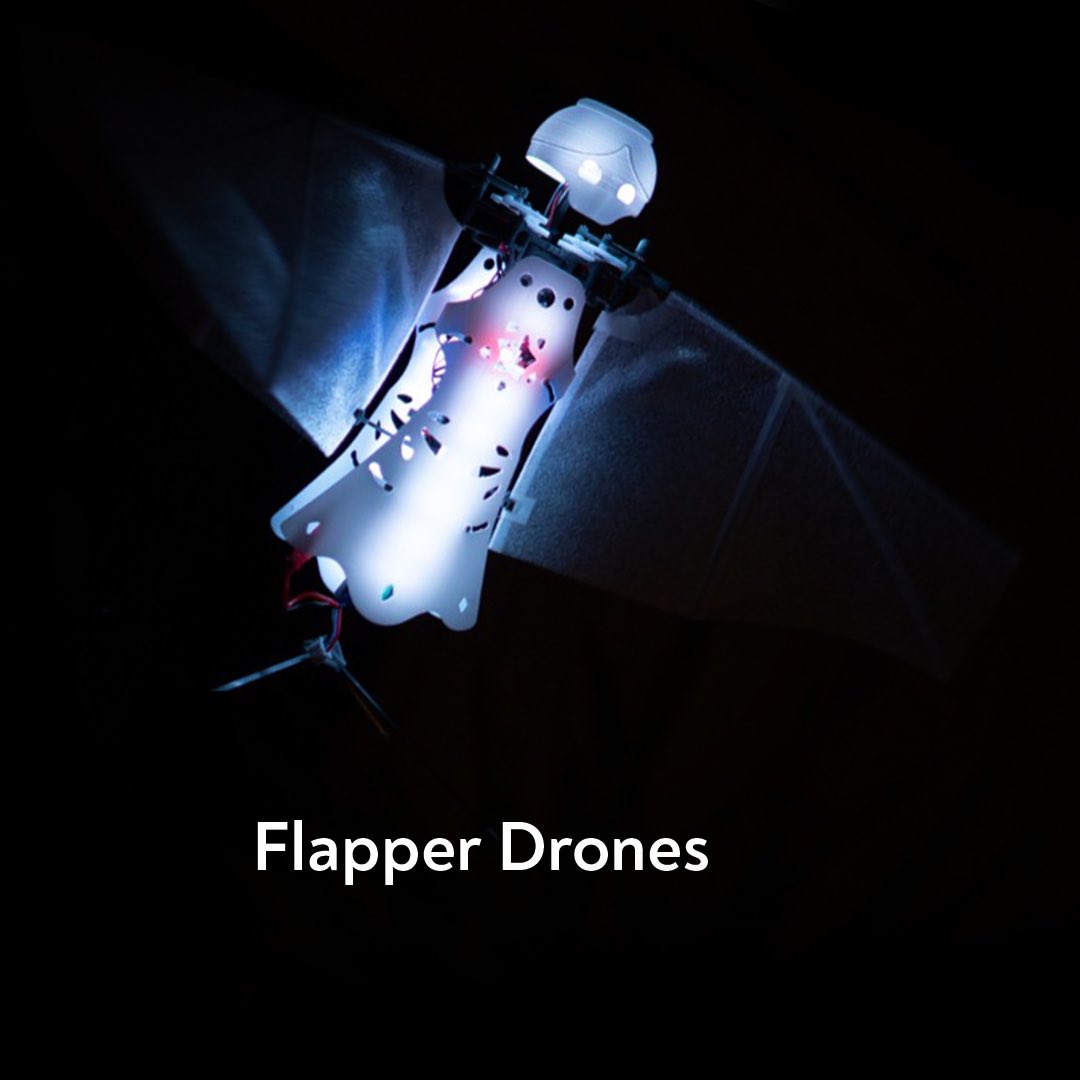 HighlightDelft's tweet photo. Space of Possibilities: introducing @Flapper_Drones bij #HighlightDelft 16-18 Feb 2023.
#FlapperDrones zijn bio-geïnspireerde vliegende robots die door met hun vleugels te klapperen kunnen vliegen.
Tickets: https://t.co/vCkhLGzFlE.
Lead partners: @GemeenteDelft & @tudelft. https://t.co/iPX6td1N0c