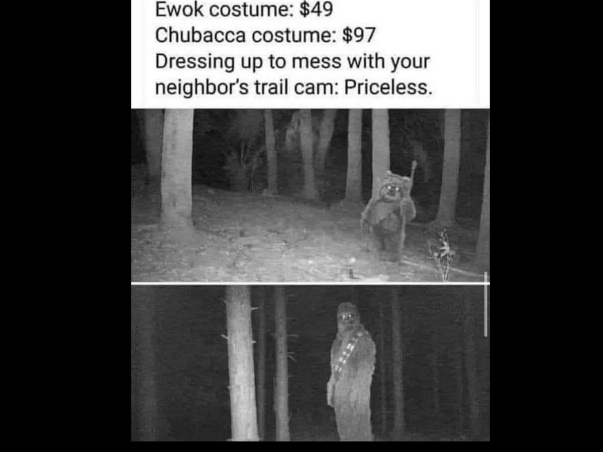 mike (@towingmikes) on Twitter photo 