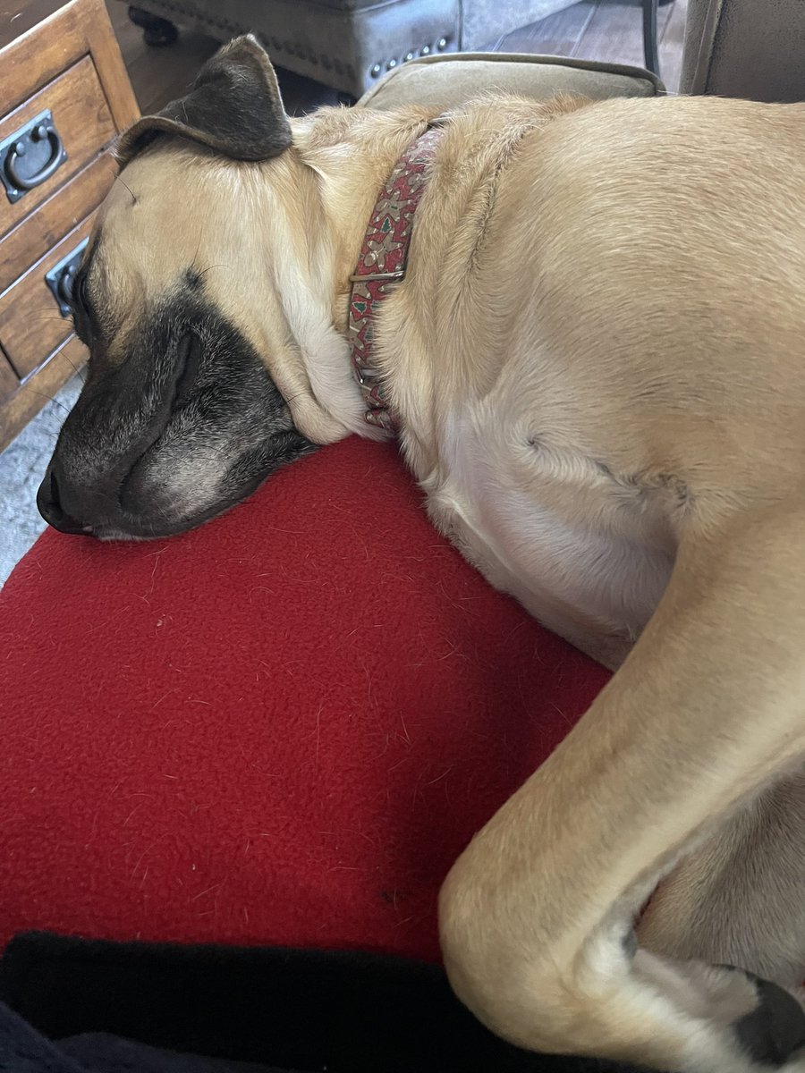 Run recovery buddy! @okekoalas