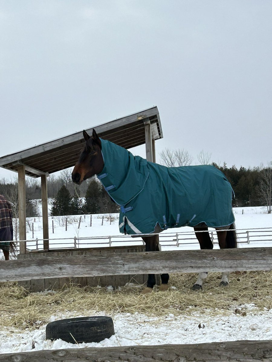 I’m literally obsessed w this blanket colour, so glad they had one in his size
