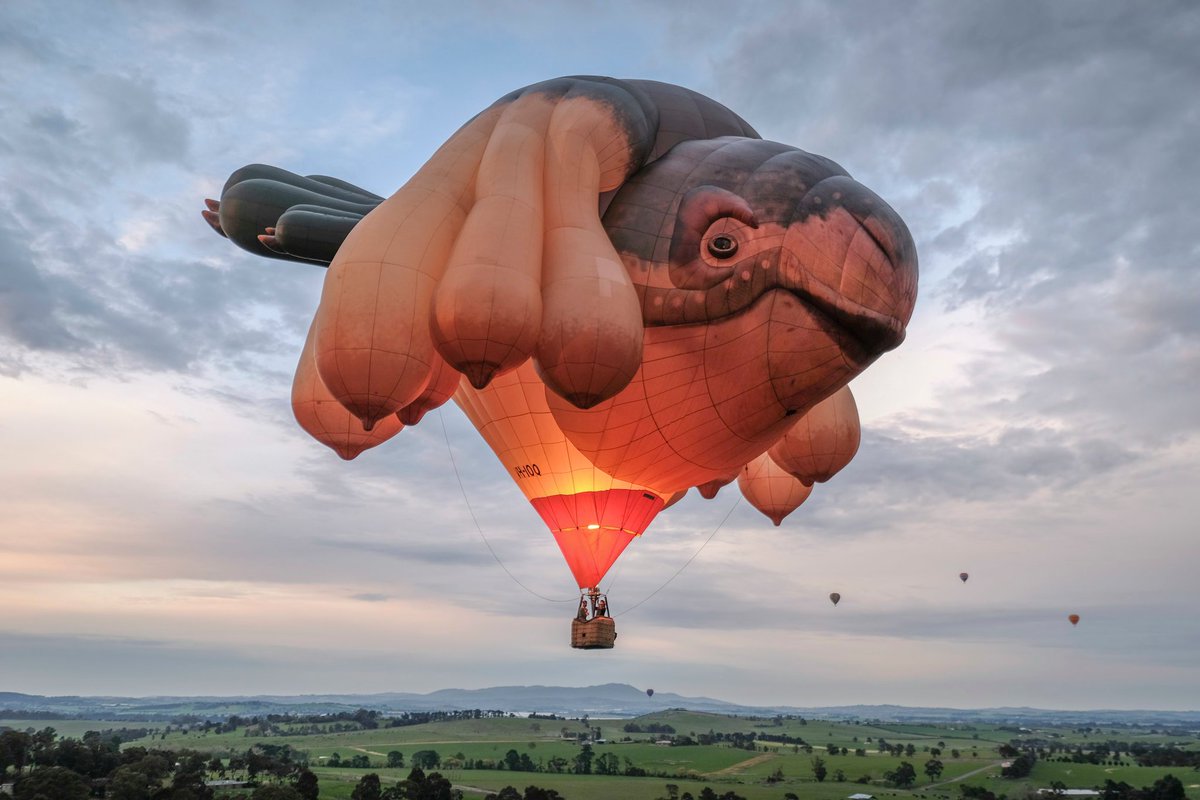 Trust me folks, if Australia sends a spy balloon to your country, you'll know it