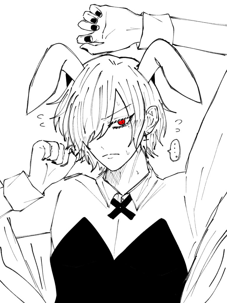 ネコチャ……ウサギサン……!!!!!???(らくがき) 