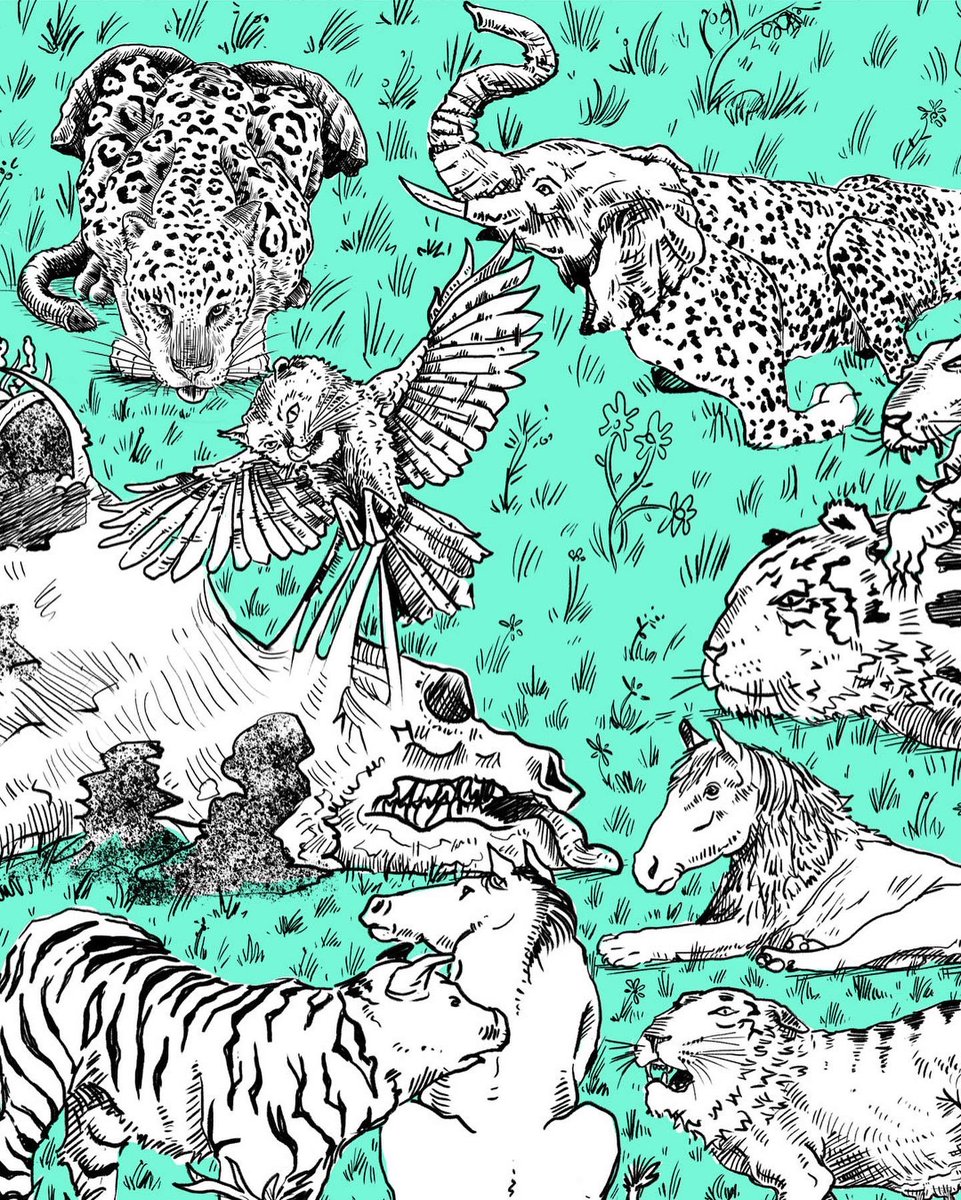 55 variations of a feline. #digitalartwork #drawing #animalario