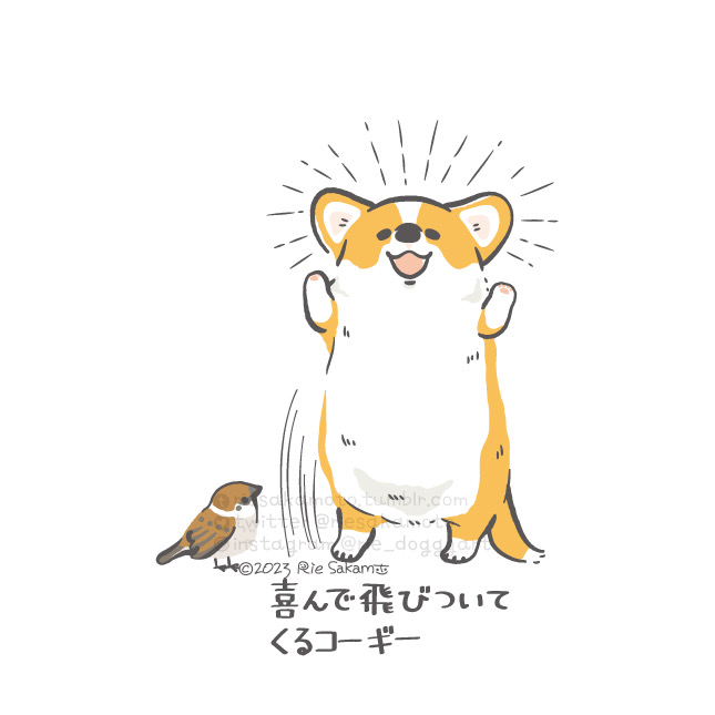 「full body shiba inu」 illustration images(Latest)｜3pages