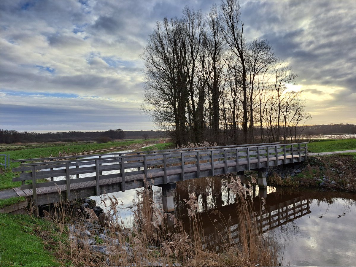 Cees Beukema tweet media