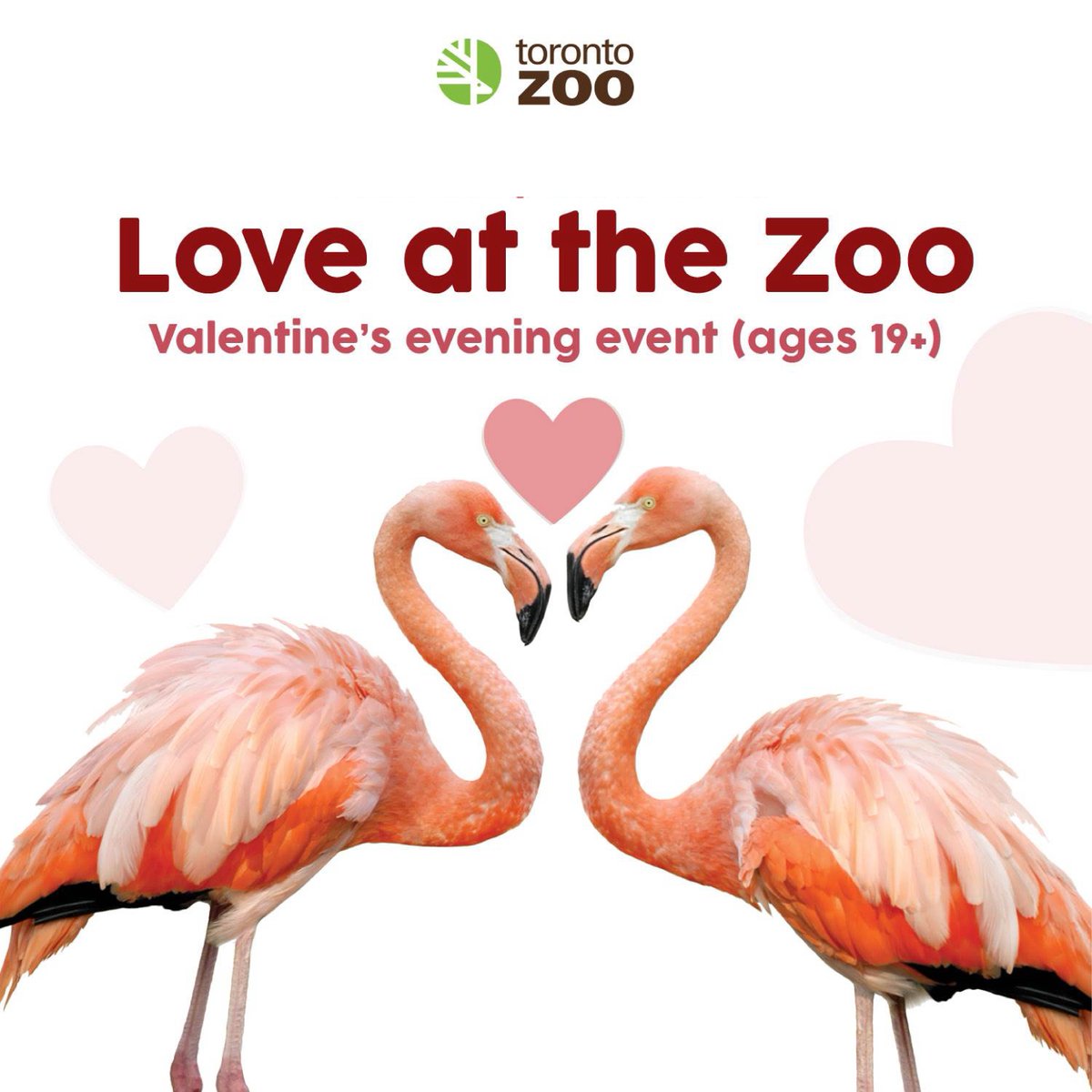The Toronto Zoo on Twitter "Join us for a charming and informative