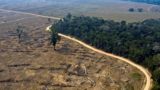 IsaakNewmanXX's tweet photo. Die Abholzung des #Amazon-#Regenwaldes geht unvermindert weiter. Präsident #Lula verpricht, etwas dagegen zu unternehmen. Sind es mehr als nur leer Worte?
#Umweltzerstörung 
https://t.co/pEwBgC5JS0 https://t.co/ZQrxbB5BHv