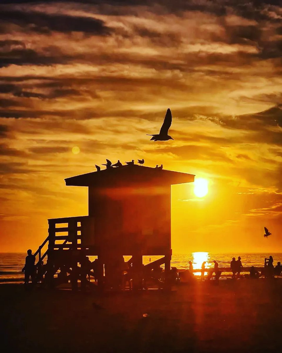Enjoy every sunset. Especially ones as magical as this ❤️🧡💛 #sarasotasunsets

📷 @mauriciland
📌 Siesta Key Beach
