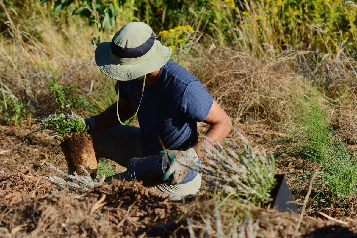 The Peoples Gardening Collective tweet media
