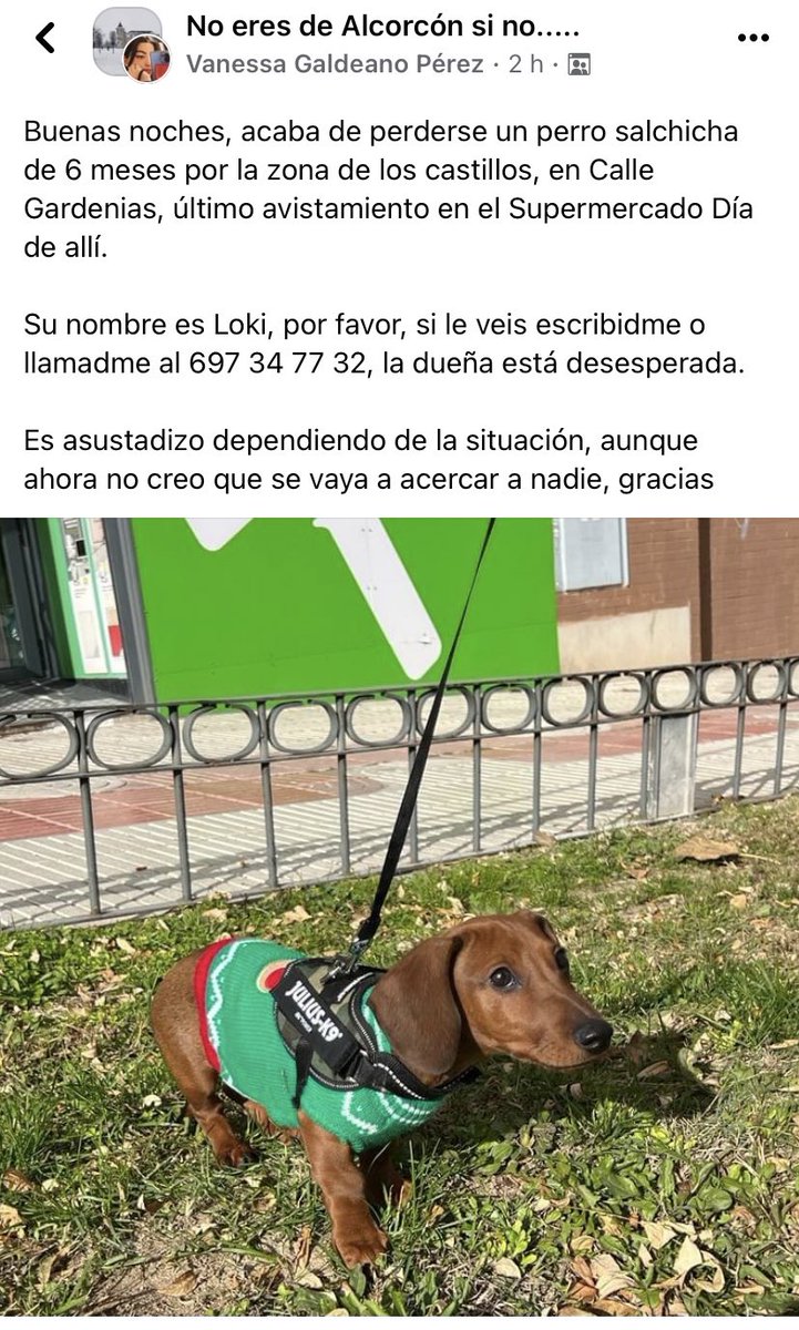 Tuca Muriel tweet media
