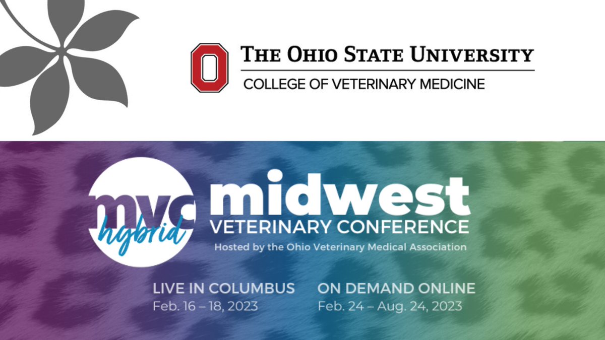 OSUVetCollege's tweet image. Attending @MVCinfo? Stop by our #OSUVetMed alumni reception on Friday evening for complimentary appetizers and to catch up with old friends. We&apos;ll be in the new Hilton tower on the 4th floor this year. 
Free registration: bit.ly/3jcfAuW    #2023MVC @OhioVMA
