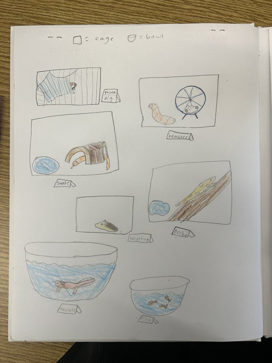 Alyssa Jacob tweet media