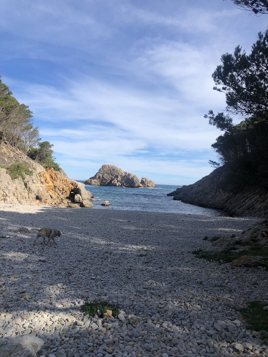 Ereb777's tweet image. Poder passejar per #emporda i tenir una platgeta per mi sol i el gos clar. #privilegis #natura #platja #solitud #reflexions @turismecat #Catalunya