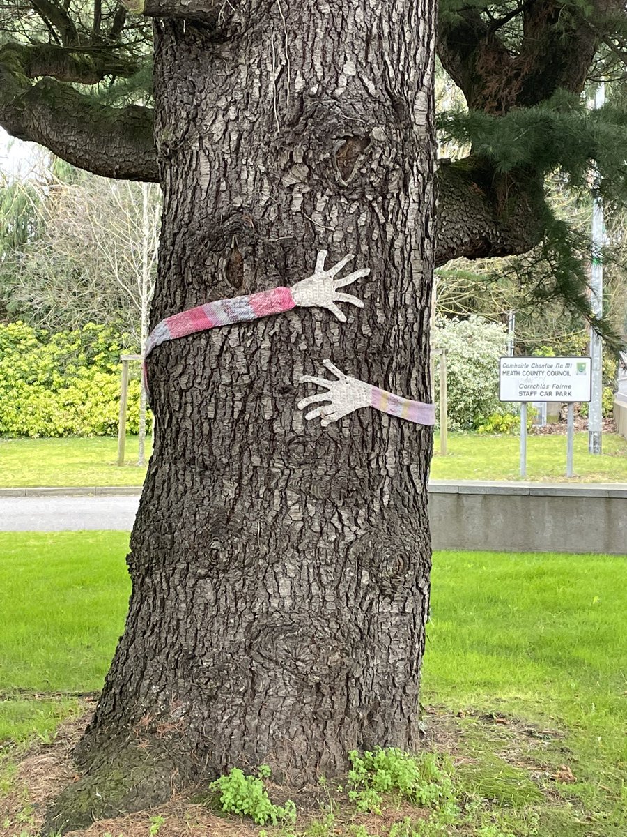 davidgilroyBVT's tweet photo. A cautionary tale regarding the dangers of nighttime speed training. #suddenstop #trees https://t.co/UufmABj6I9