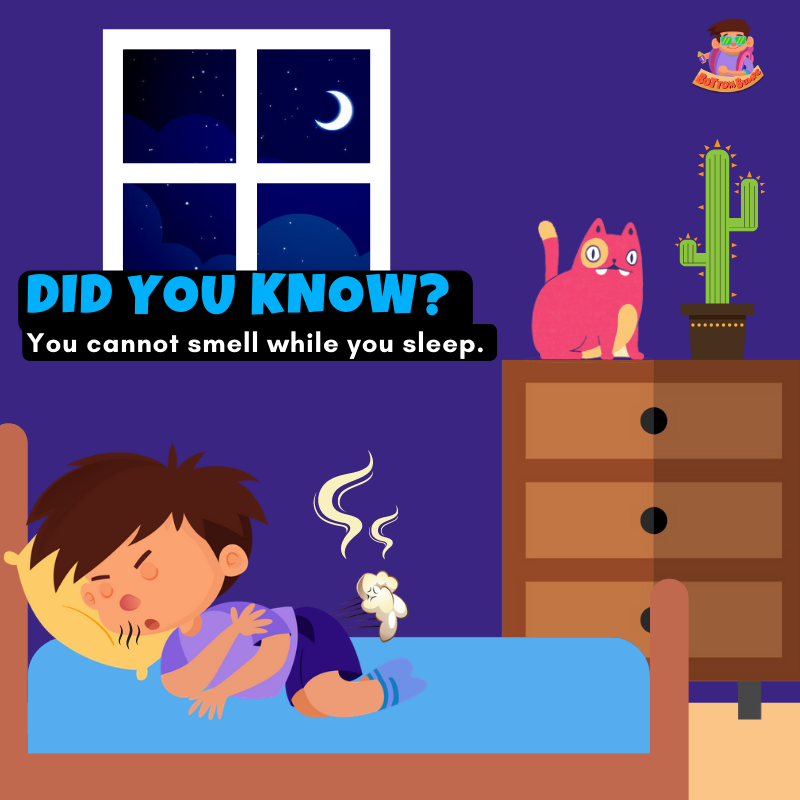 bumps_bottom's tweet photo. So no one will notice if you fart in your sleep!💨👃🛌

#BottomBumps #EddieAndTheBumps #InterestingFact #MobileGame #FartJoke #KidsFacts😴 https://t.co/3k7Bczfl3R