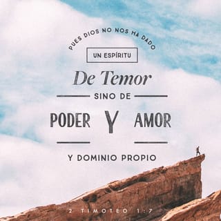 nelrole's tweet image. 