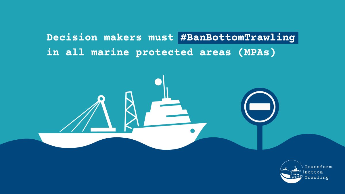 projectseahorse's tweet photo. The @IUCN has issued guidance that all member states should #BanBottomTrawling in #MPAs
Yet #BottomTrawlers continue to drag heavy nets and chains through important marine ecosystems.
This needs to be a focus of discussion at @IMPAC5Canada if we want to #ProtectBlueNature  🌏 https://t.co/CqgK66HhuJ