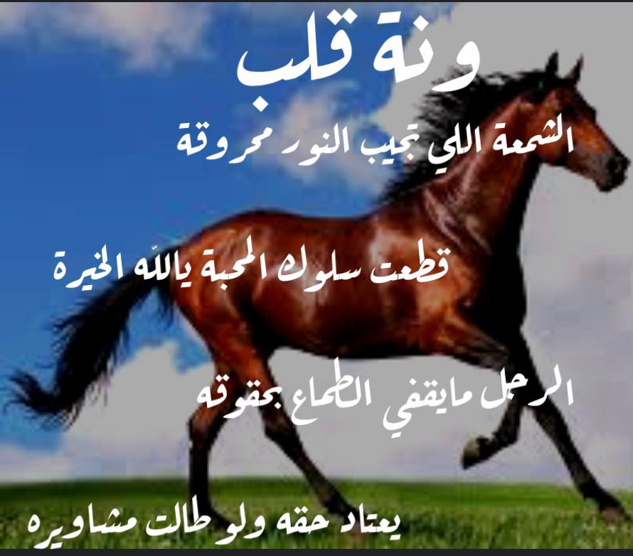 saad_Alhowemil's tweet photo. https://t.co/BfED0ZhzvE