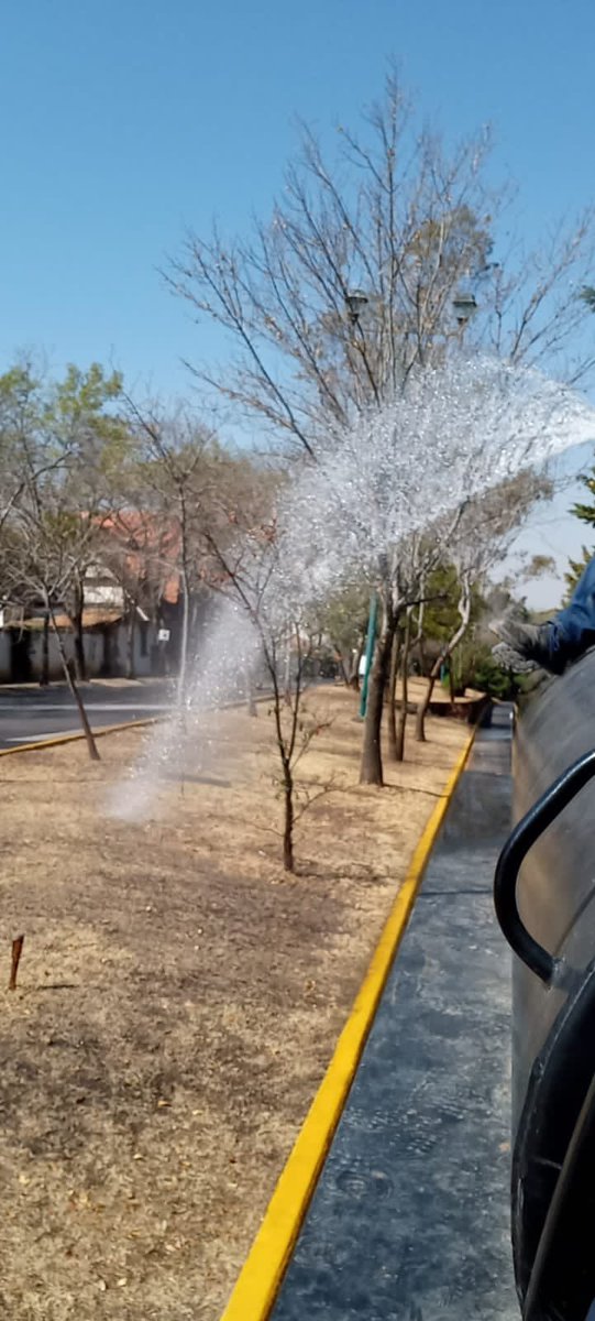 Ac_Sayavedra's tweet photo. Continuamos trabajando en el riego de áreas verdes en #CondadodeSayavedra https://t.co/RuyeP6hmOn