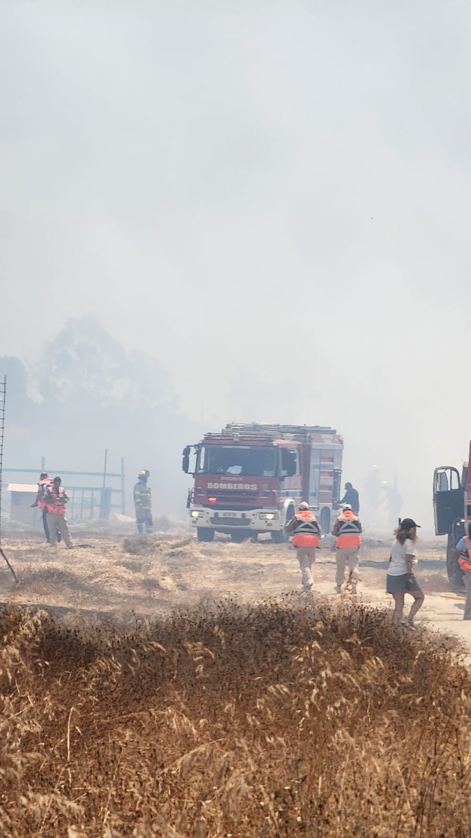 🚒 EMERGENCIA 🚒 

🚨PUCHUNCAVI 🚨

CLAVE  X1 DE CLAVE 2-3 (INCENDIO FORESTAL DECLARADO)
DIRECCIÓN: RUTA F30e
SECTOR : MEDANO
UNIDAD : 21
APOYO :  13-31-33-C3-C2
HORA: 15:05

#BOMBEROSCHILE #PUCHUNCAVI #LASVENTANAS