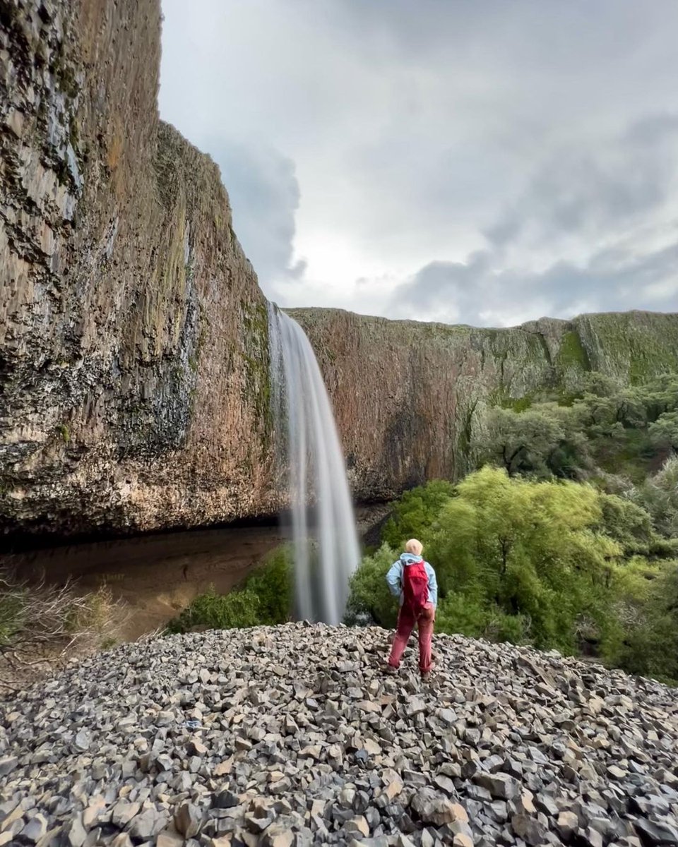 explorebutteca's tweet photo. A rainy day hike will always chase away the rainy day blues 💙 (📸 reel_screamin_/IG) Remember, North Table Mountain Ecological Reserve is ecologically sensitive. Do your part as a responsible visitor and help keep this clean and accessible.

Learn more: https://t.co/HPiRx9200w https://t.co/SNIZ6GNWlK