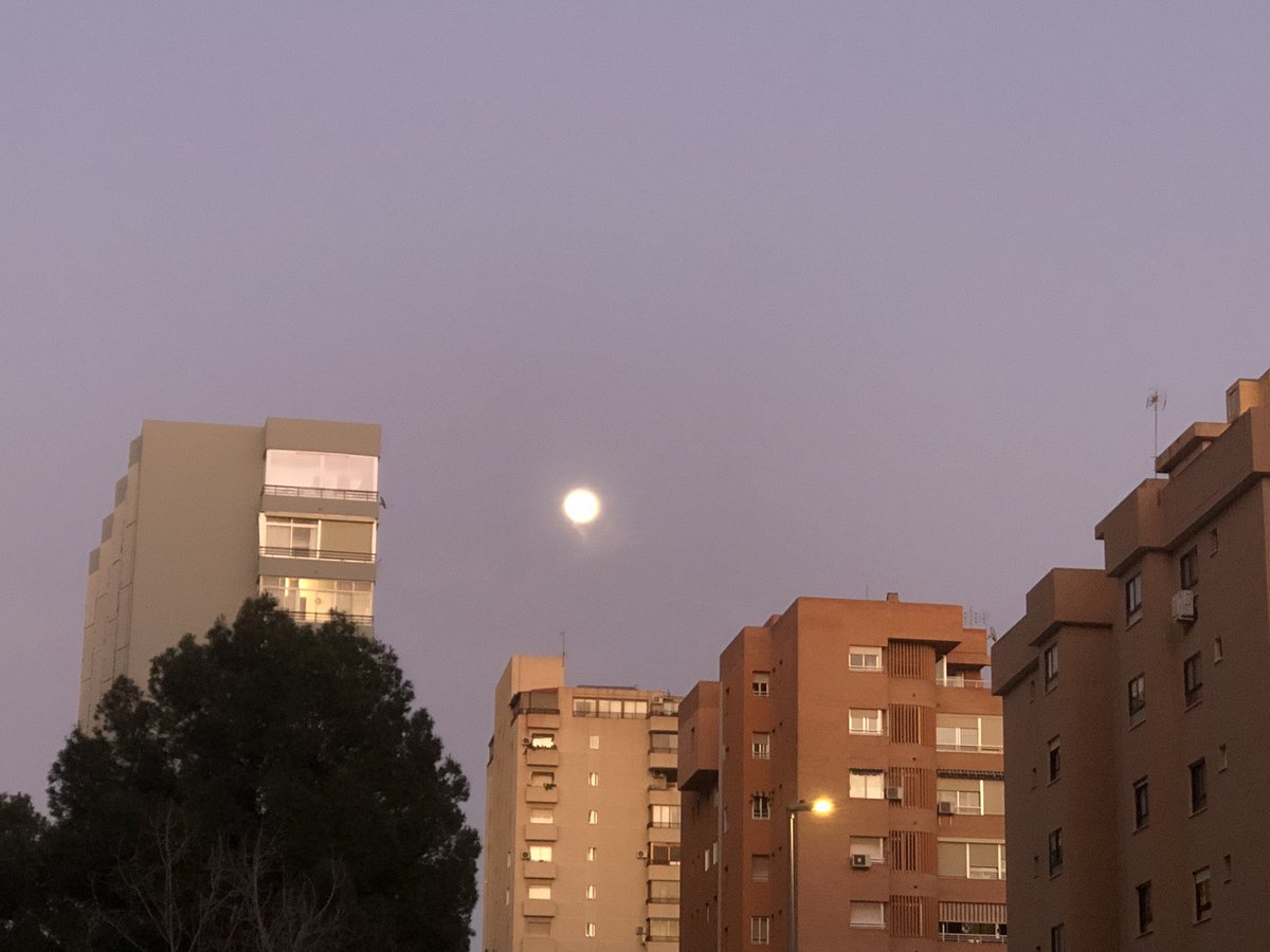 ramonvicentedia's tweet photo. @BlancaPaloma_rb la luna brilla sobre Benidorm. Alguien estará mirando esta noche? #BenidormFest2023 https://t.co/XHxzVj80Ky