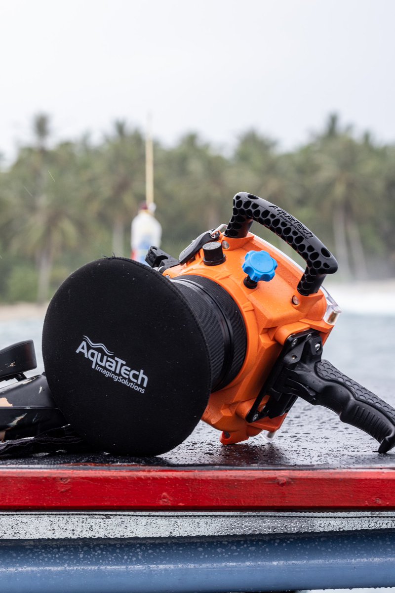Anyone taking their camera in the water this weekend?