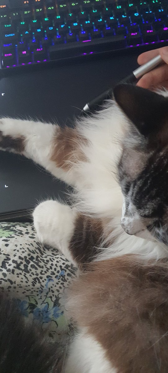 being a jerk just because