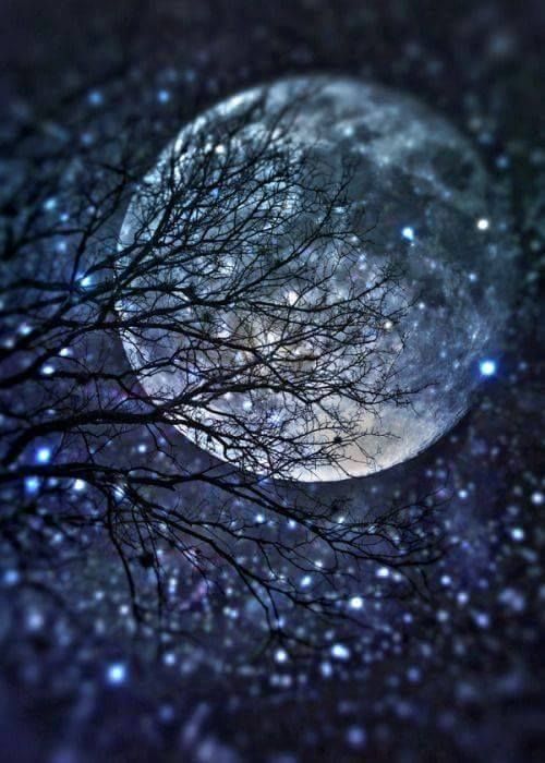 Carla_Baron's tweet photo. Happy #FullMoon in Leo, my doves!

Booking #psychic sessions for today into evening. 

New #podcast drops tomorrow @ midnite!  #TheMissing  #SusanCoxPowell 
(Some interesting detail came thru on this one... you will be absorbed. 👁️🎙️🔍❄️🌕) https://t.co/vlr7X1DrcF