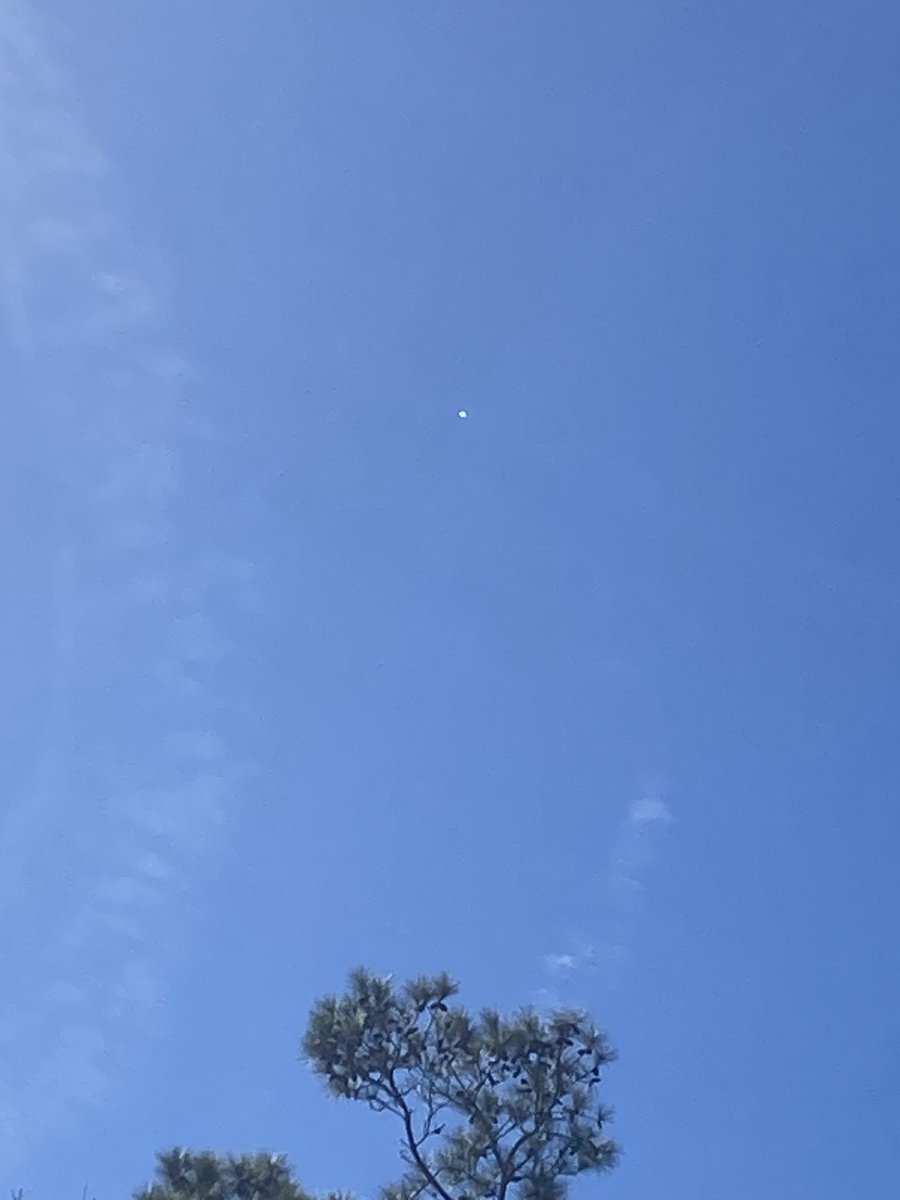 RandallLane31's tweet image. Hovering over Galivants Ferry South Carolina now. #SpyBalloonTracker #ChineseSpyBalloon #SouthCarolina #ChinaSpyBalloon