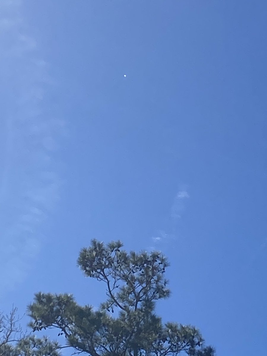RandallLane31's tweet image. Hovering over Galivants Ferry South Carolina now. #SpyBalloonTracker #ChineseSpyBalloon #SouthCarolina #ChinaSpyBalloon