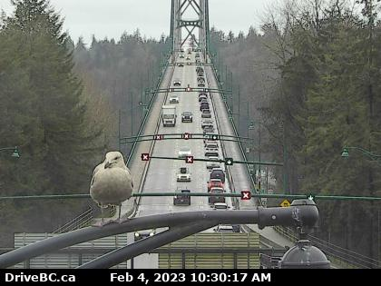 NewsRadioVAN's tweet image. #NorthVancouverBC There&apos;s one lane going south to downtown Vancouver, two lanes north on the #LionsGateBridge. Slow leaving Vancouver through the Stanley Park Causeway from Bidwell. #StopandGo has the best view at the north end of the bridge.