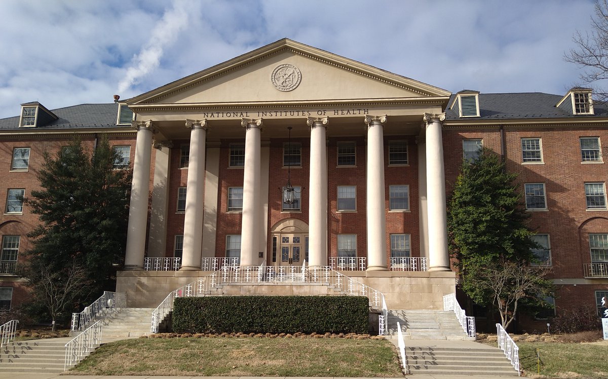 Daisuke Kurotaki (黒滝大翼) tweet media