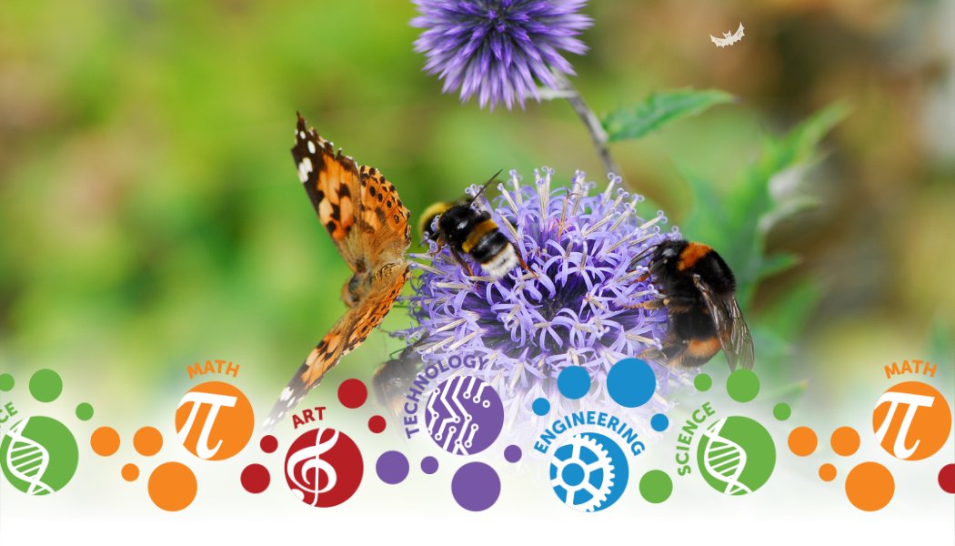 STEAMPEI tweet media