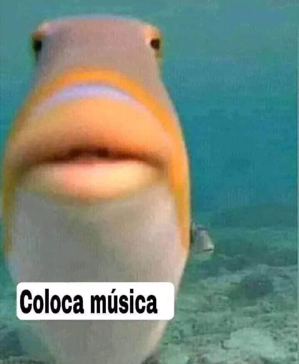 *sequestrador me coloca no carro*

eu: