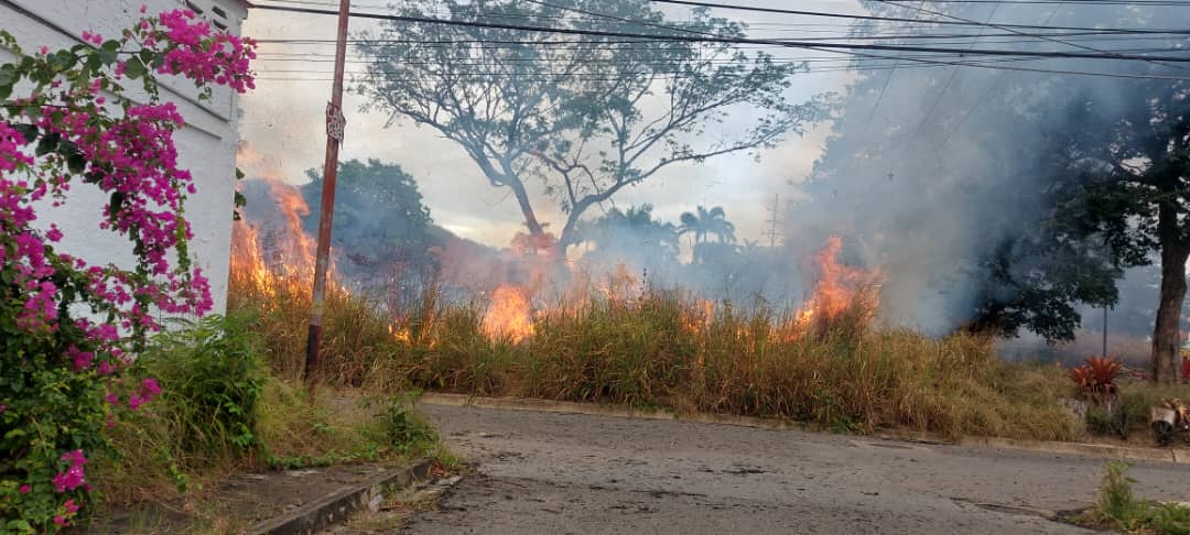 promozonepro's tweet photo. Incendio de vegetación en área verde de la calle La Colina 1/Mañongo (muy cerca del área de postgrado UC). #Naguanagua #Carabobo #IncendiosForestales #IncendioForestal #Bomberos https://t.co/iWro6lNl4h