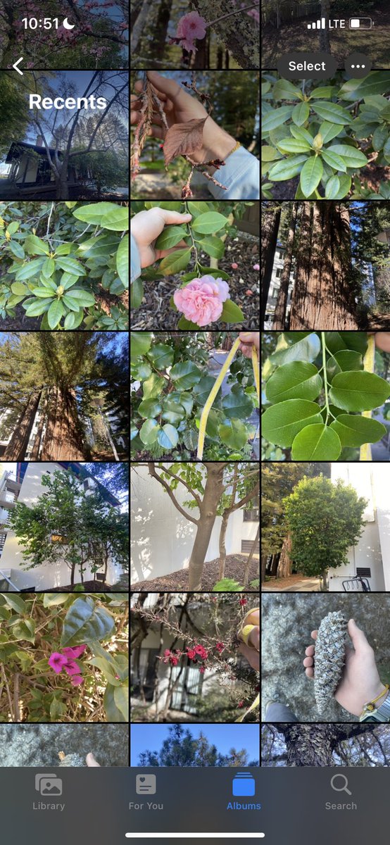 jackmyrna's tweet photo. My camera roll and work group chat on a normal work day😂 https://t.co/zKtTXlgvlg