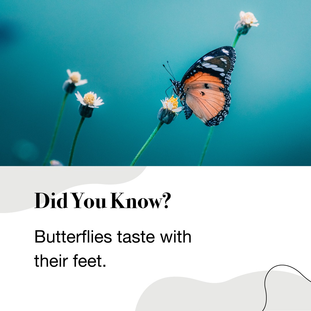 Mind-blowing!

#fact #factoftheday #random #randomfacts #generalknowledge