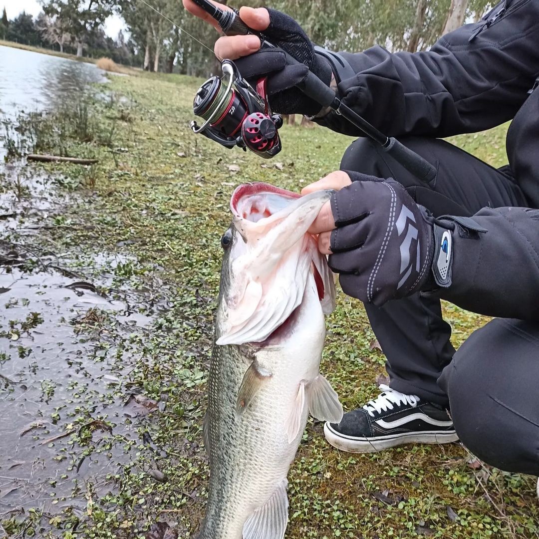 Gomexus_US's tweet photo. Gomexus Handle with Daiwa Fuego #daiwareel #gomexus #customhandle  #fishin #lureaddict #daiwafuego #spinningreels https://t.co/HCurovqT4b