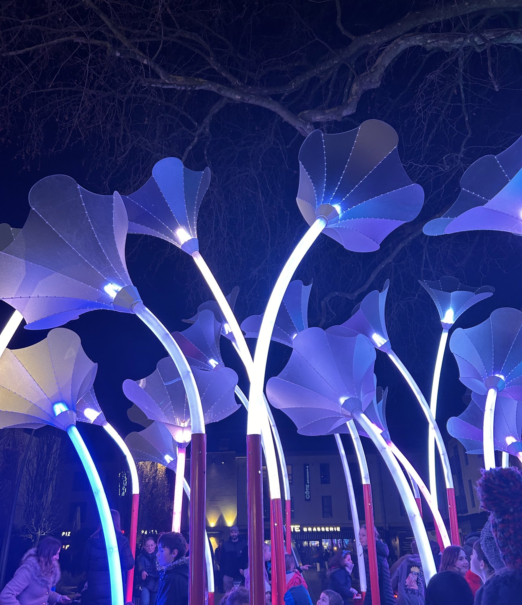 Bristol Light Festival (bristol_light) / Twitter