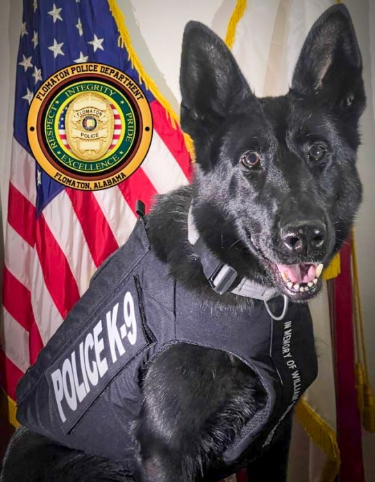 Derek Gantt on Twitter "RT OnPatrolK9 Flomaton Police Department’s