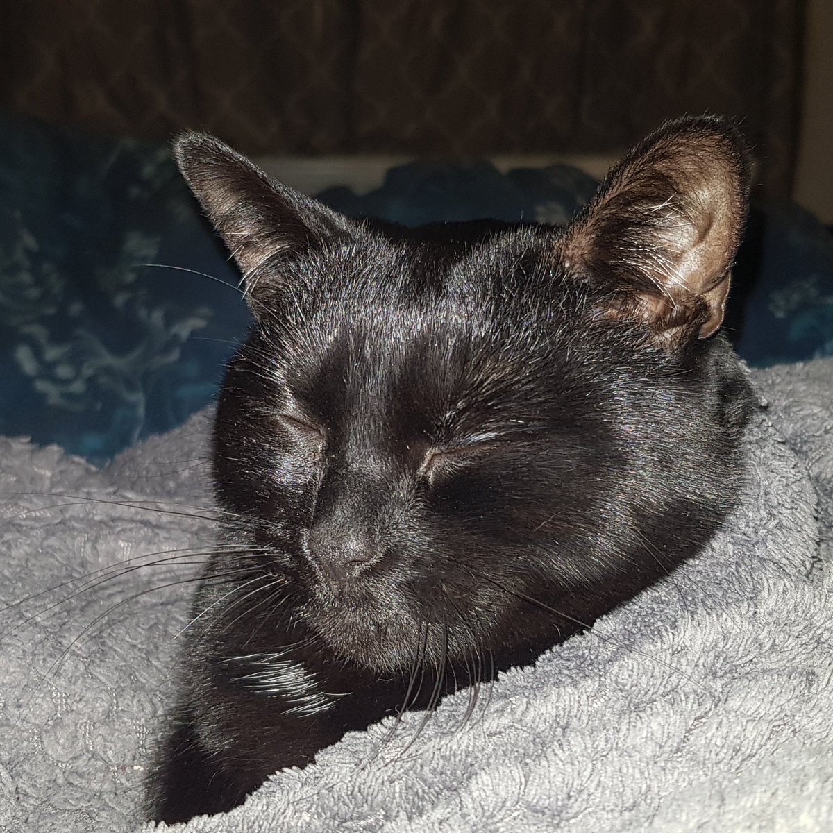 My Limerick,for in my opinion the greatest comedian of his Generation. 
<a href="/rickygervais/">Ricky Gervais</a> 
There once was a comedian named Ricky
 Whose older brother was quite tricky
 He'd play pranks all the day
 In a mischievous way
 Leaving Ricky to simply feel icky!
Love Magick
(Big fan)