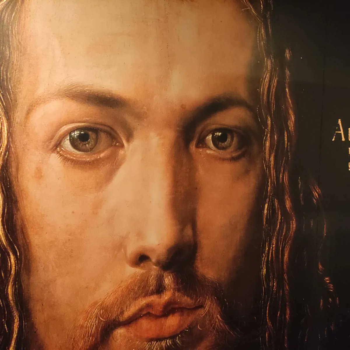 twu_main's tweet photo. #Dürer https://t.co/vDccW0ZMJE