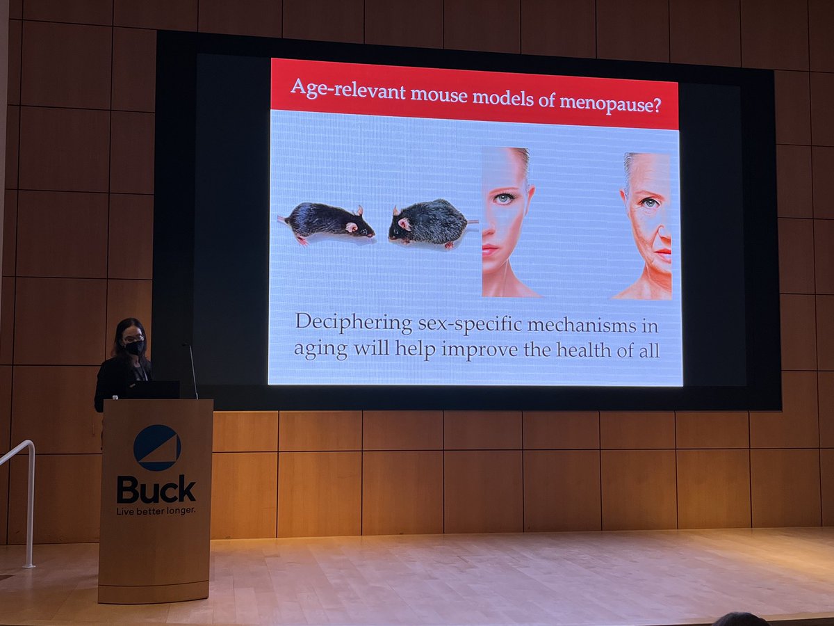 Happy to share our progress on establishing age-relevant preclinical models of #menopause at the @GCRLE1 symposium this weekend @BuckInstitute! #menopause is the most consequential health event for women, and research on #aging is generally still unable to properly model it.