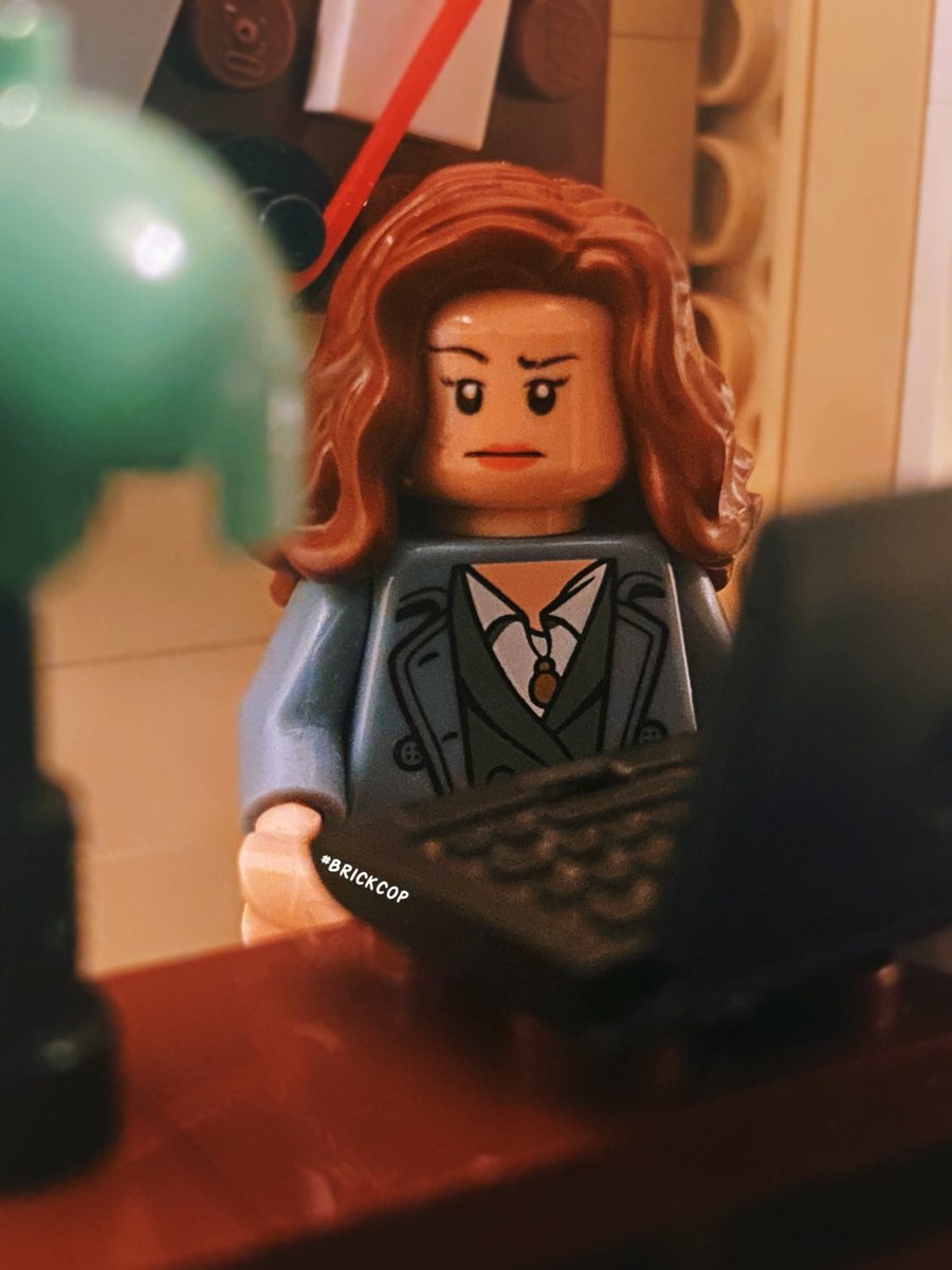 Brick Cop©️ tweet media