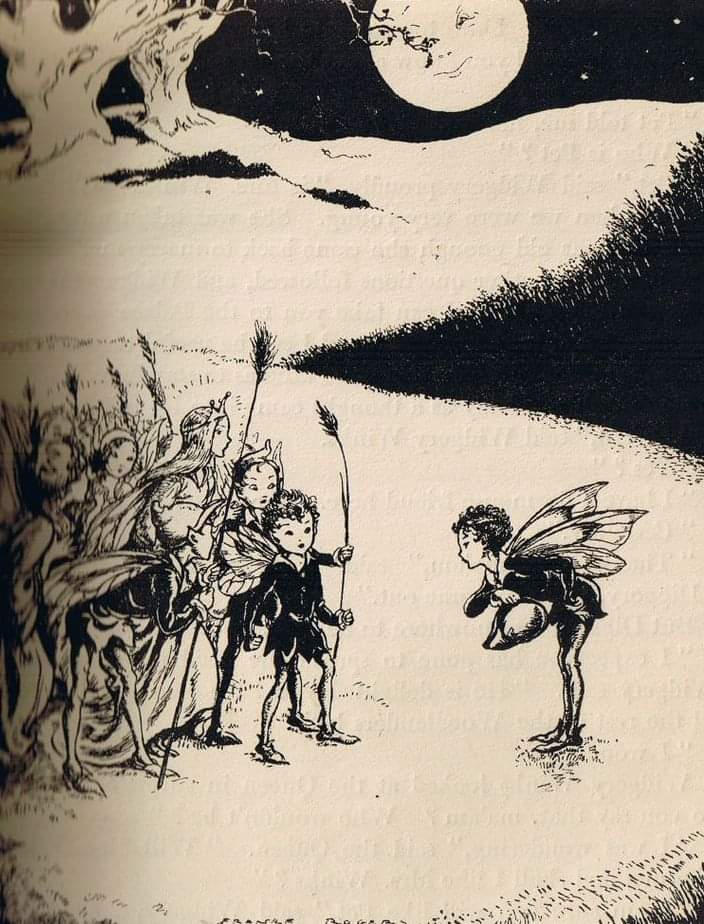 dreamerbook's tweet photo. Widgery Wings and his new friends by Rodney Bennett, illustrated by Franke Rogers
#frankerogers #illustration #rodneybennett #childrenillustration https://t.co/CmvmEKS8Bn
