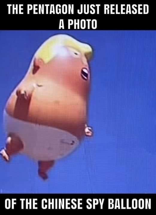 Follow Me, I'll follow you back if you're a Democrat 💙
#BlueIn22 #TrumpForPrison #Resist #BlueWave #BlueCrew 
#DefendOurDemocracy #BlueNovember #FollowBack  #BlueStorm #VoteBlue2022 #VoteBlueNomatterWho #TrumpMeltdown #TrumpIsATrator #TrumpIsGoingToJail