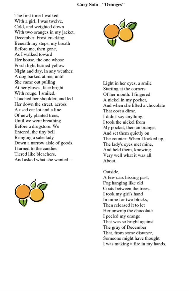 shroom_ware's tweet photo. @shemaiahng @adalimon 🍊 https://t.co/Ghfss3BKPk
