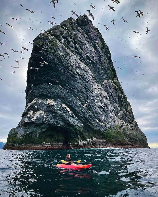 As if you needed another reason to add a trip to St Kilda to your visit list! 😍🙌 📍 St Kilda, @OuterHebs 📷 IG/hebridean.mermaid #RespectProtectEnjoy